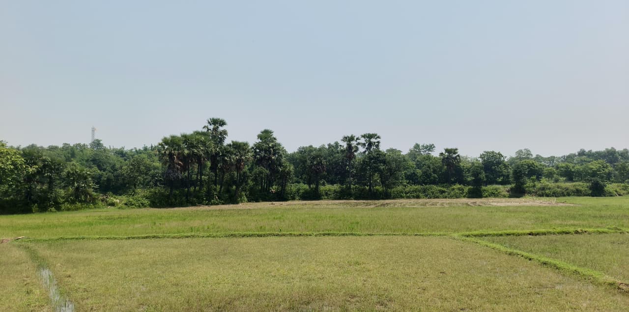 Scenic farmland